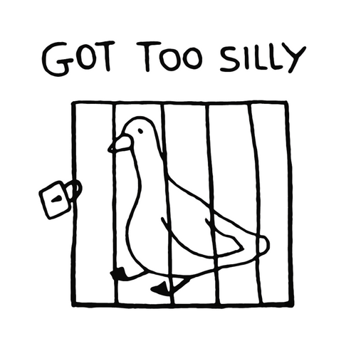 GOT TOO SILLY