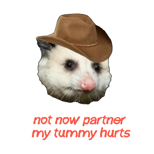 NOT NOW PARTNER MY TUMMY HURTS