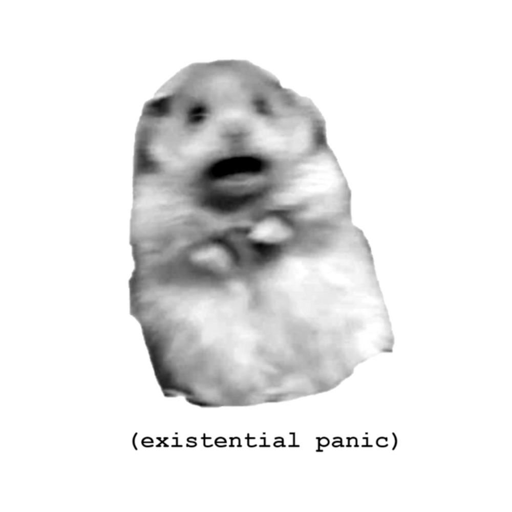 EXISTENTIAL PANIC