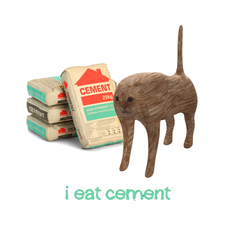 I EAT CEMENT