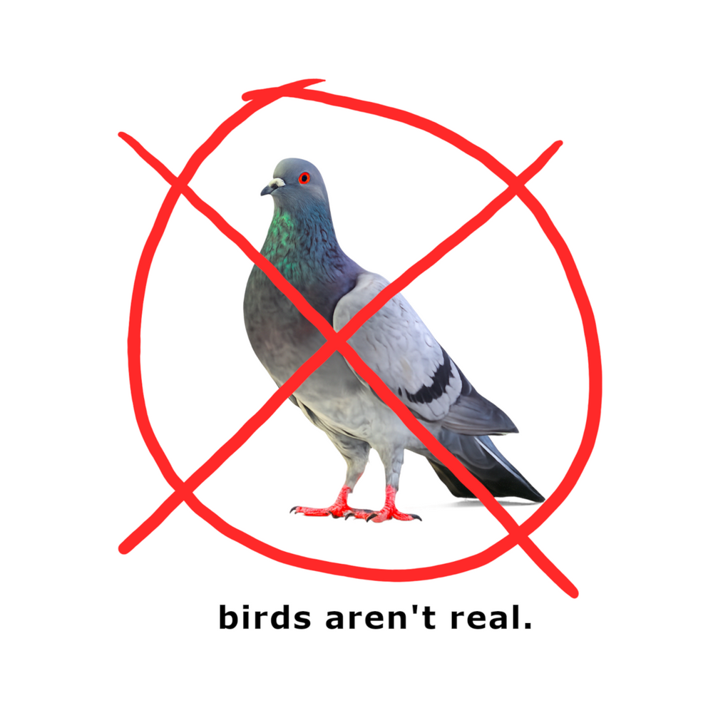 BIRDS ARENT REAL