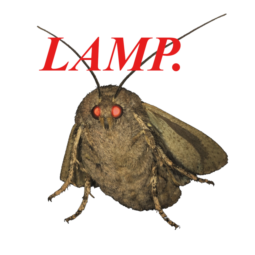 LAMP