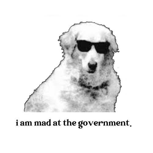 I AM MAD AT THE GOVERNMENT